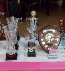 Individual Trophies